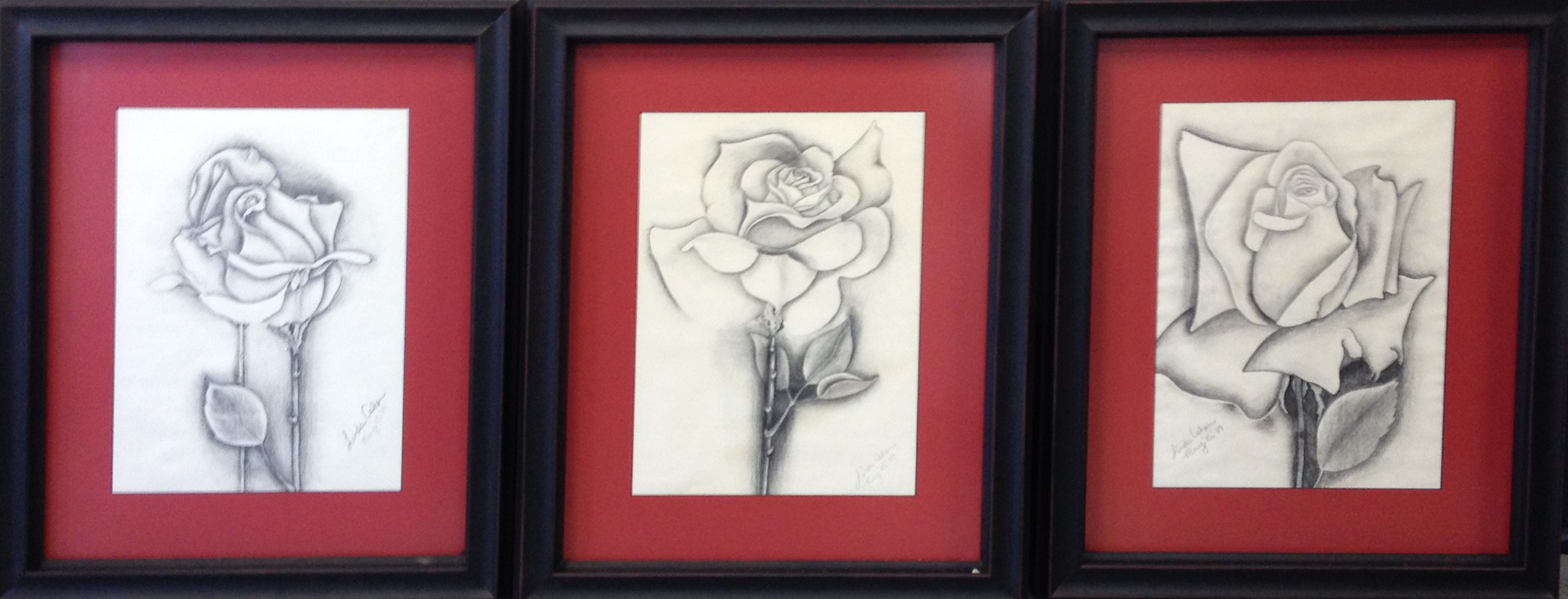 Ma's Roses